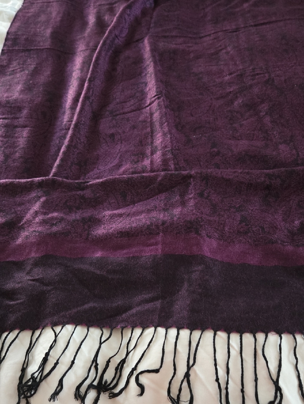 Plush Two-Tone Purple Pashmina with Fringe